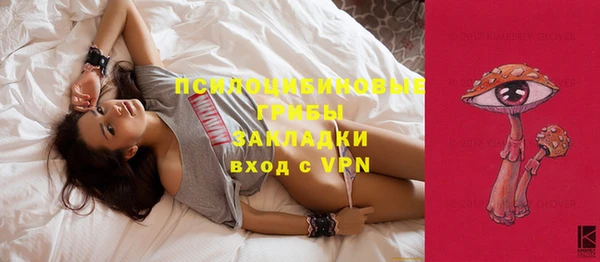 стаф Киреевск