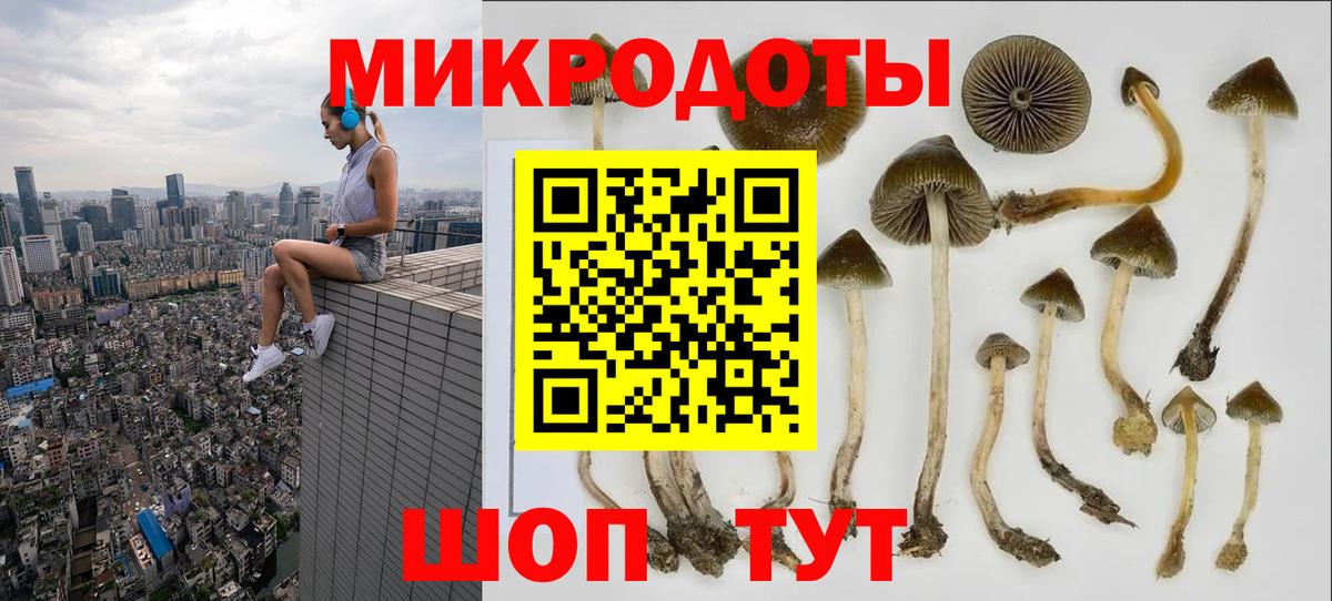 Галлюциногенные грибы ЛСД Саянск